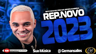 BOYZINHO REI DA BREGADEIRA REP NOVO DE PAREDÃƒO NOVEMBRO 2023 [upl. by Gaylor]