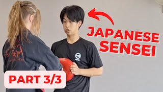 Watch An Actual Karate Class By A Japanese Sensei Part 33｜Punches [upl. by Natascha]