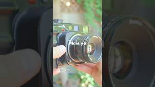 The mamiya 7ii Full video on my page now Be sure to sub if you can photography camera [upl. by Llehctim]