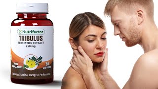 tribulus terrestris benefits in urdu  nutrifactor  male infertility treatment [upl. by Tap]