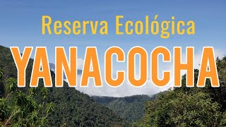 Reserva Ecológica de Yanacocha Pichincha  Ecuador [upl. by Durning]