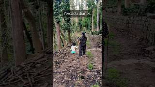 A TRIP TO YERCAUD youtubeshorts yercaud getaway [upl. by Tanhya117]