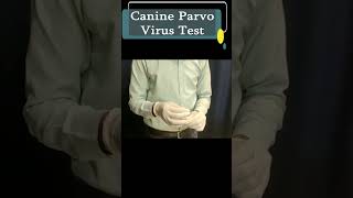 Canine Parvo Virus Test  How to perform parvo kit test  canine parvovirus test kit [upl. by Ellered]