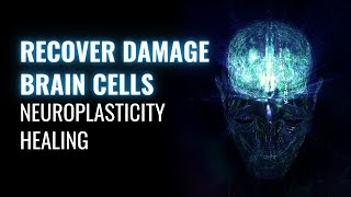 Regeneration of Neurons  Neuroplasticity Healing  Recover Damage Brain Cells  Binaural Beats Tone [upl. by Lucais]