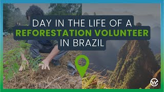 A Day in the Life of a Reforestation Volunteer in Brazil  Earthwatch [upl. by Remde]