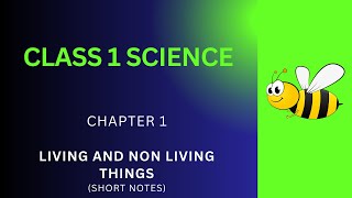 Grade 1 Science Notes  Living NonLiving Things Ch 1 Short Notes PDF  Class 1 Science Class Notes [upl. by Ardekal]