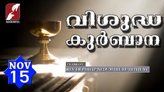 HOLY MASS LIVE  6 AM 15 NOV 2024FR PHILIP NEDUMTHURUTHIL VCMALAYALAM QURBANATODAY MASSGOODNESS [upl. by Yensehc]