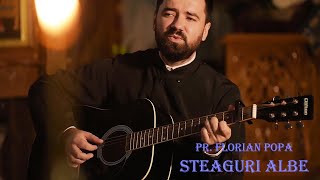 Pr Florian Popa  STEAGURI ALBE cover Stefan HruscaVersuri Adrian Paunescu [upl. by Syverson]