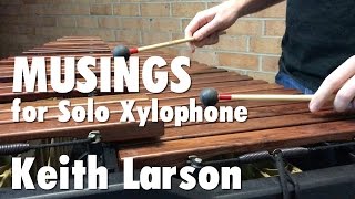 Musings for Xylophone  Keith Larson [upl. by Oretos]