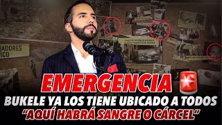 Emergencia🚨 Nayib Bukele ya los tiene ubicado a todos quotAquí habrá sangre a cárcelquot [upl. by Paulsen516]