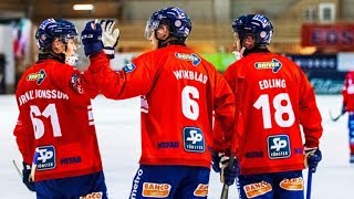 120320«Edsbyns IF»«Sandvikens AIK»SM SEMIFINAL35Highlights❉Svenska Bandy Elitserien❉ [upl. by Thanh]