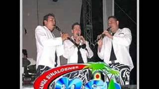 banda mspopurri corridos [upl. by Sheree557]