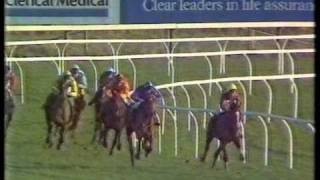 1987 Hennessy Cognac Gold Cup Handicap Chase [upl. by Eerak]