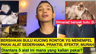 BULU KUCING RONTOK DAN MENEMPEL DI BAJU SOFA KASUR DLL  Begini cara2 membersihkan bulu kucing tsb [upl. by Belita]