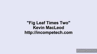 fig leaf rag times two faster  underwater refund [upl. by Hendricks]