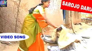 Sarojo Daru Sese Banjara Folk Song  Naavaleri Chwari Album [upl. by Norehs]