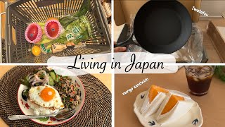 new cast iron frying pan explore new supermarket Gapao Rice mango sandwich [upl. by Tahmosh]