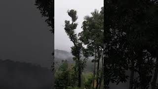 A beautiful morning with mist and rain in central hills Sri Lanka natureseye [upl. by Valerlan]