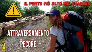 G4 Via Francigena SienaRoma  A contatto con la natura 🌻 Gallina  Radicofani [upl. by Mikahs]