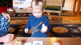 Montessori Infant Video Language object and cards [upl. by Yelrihs100]