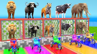 Cow Mammoth Elephant Lion Buffalo Guess The Right Key ESCAPE ROOM CHALLENGE Animals Cage Game [upl. by Assyl]