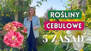 ROŚLINY CEBULOWE  NAJWAŻNIEJSZE 5 ZASAD [upl. by Elyak]