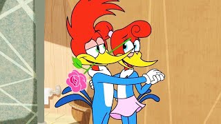 Woody Woodpecker 2018  Winnie and Woody Woodpecker Compilation  BRAND NEW  Kids Movies [upl. by Nosnar862]