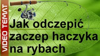 Jak odczepić zaczepiony haczyk na rybach [upl. by Eniahpets]