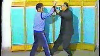 Xingyiquan master Li Guichang and disciple [upl. by Prosser]