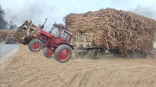 Powerful Belarus tractors pulling heavy loaded trailer  Belarus 510 tractor  Belarus MTz50 tractor [upl. by Werda577]