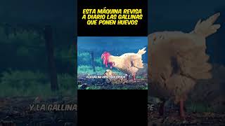 😱Esta máquina revisa a diario las gallinas que ponen huevos viral pelis resumen [upl. by Schatz]