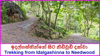 ඉදල්ගස්හින්නේ සිට නීඩ්වුඩ් දක්වා  Trekking from Idalgashinna to Needwood Haldummulla 2022 [upl. by Koval]