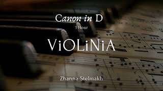 Pachelbel  Canon in D 1 Hour version by ViOLiNIA Zhanna Stelmakh [upl. by Novert449]