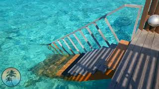 Villa NAUTICA Paradise Island Resort Maldives🔥  Water Villa with Whirlpool  Room TOUR HD [upl. by Dracir]