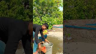 Panai💦 ka Dar 🤣shorts funny comedy [upl. by Laoj]