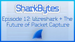 SharkFest Panel  Wireshark amp The Future of Packet Capture [upl. by Sharyl]