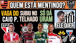 SP QUER ALA DE SELEÇÃO ERIBEIRO NO TIMÃO URAM GIGANTE NO VERDÃO FLA X GALO PATO VASCO E [upl. by Lamrouex]