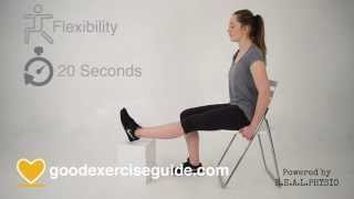 2 Best Total Knee Replacement Exercises Weeks 3 12 [upl. by Eyanaj309]