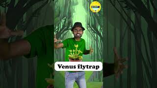 Whats Inside A Venus Flytrap 🪴 இப்டியும் ஒரு வித்தியாசமான செடி  kids👶 science 🔬 [upl. by Lander599]