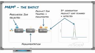 MRM3 for food testing video 1 of 4 [upl. by Narrad]