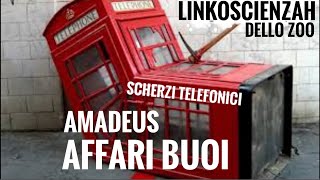 Gli scherzi telefonici di Wender con Amadeus e gli affari buoi [upl. by Nylidnam]