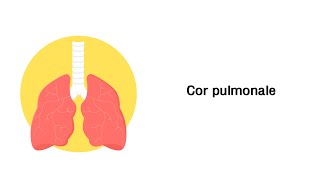 Lungenherz Cor pulmonale  Erkrankungen der Atemwege [upl. by Niltyak]