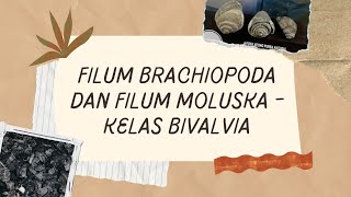 FILUM BRACHIOPODA  KELAS BIVALVIA [upl. by Aniteb]