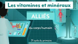 Les vitamines et minéraux  alliés du corps humain 3e cycle [upl. by Elletnwahs327]