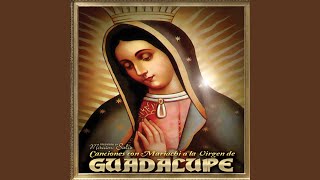 La Guadalupana [upl. by Philan408]