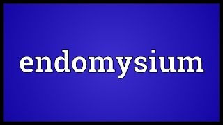 Endomysium Meaning [upl. by Nnel380]