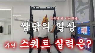 싸움독학  쌈닭 vlog 안쉬고 스쿼트 다리 풀릴때까지 계속하기 [upl. by Anderea]