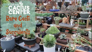 Cacti and Succulents SO Amazing You Wont Believe What I Found at California Cactus Center [upl. by Aneeras]