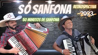 SÓ SANFONA50 MINUTOS DE SANFONA [upl. by Nyloj128]