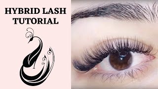 Hybrid Eyelash Extension Tutorial C amp D Curl  Is it OK to mix curls  Eyelash Extensions 101 [upl. by Aloz]